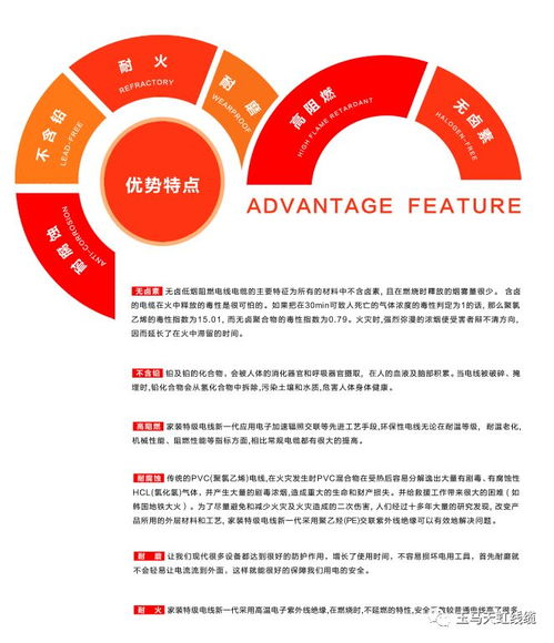 天虹線(xiàn)纜 助力傳統(tǒng)村落煥新顏，守護(hù)黔溪村電氣安全